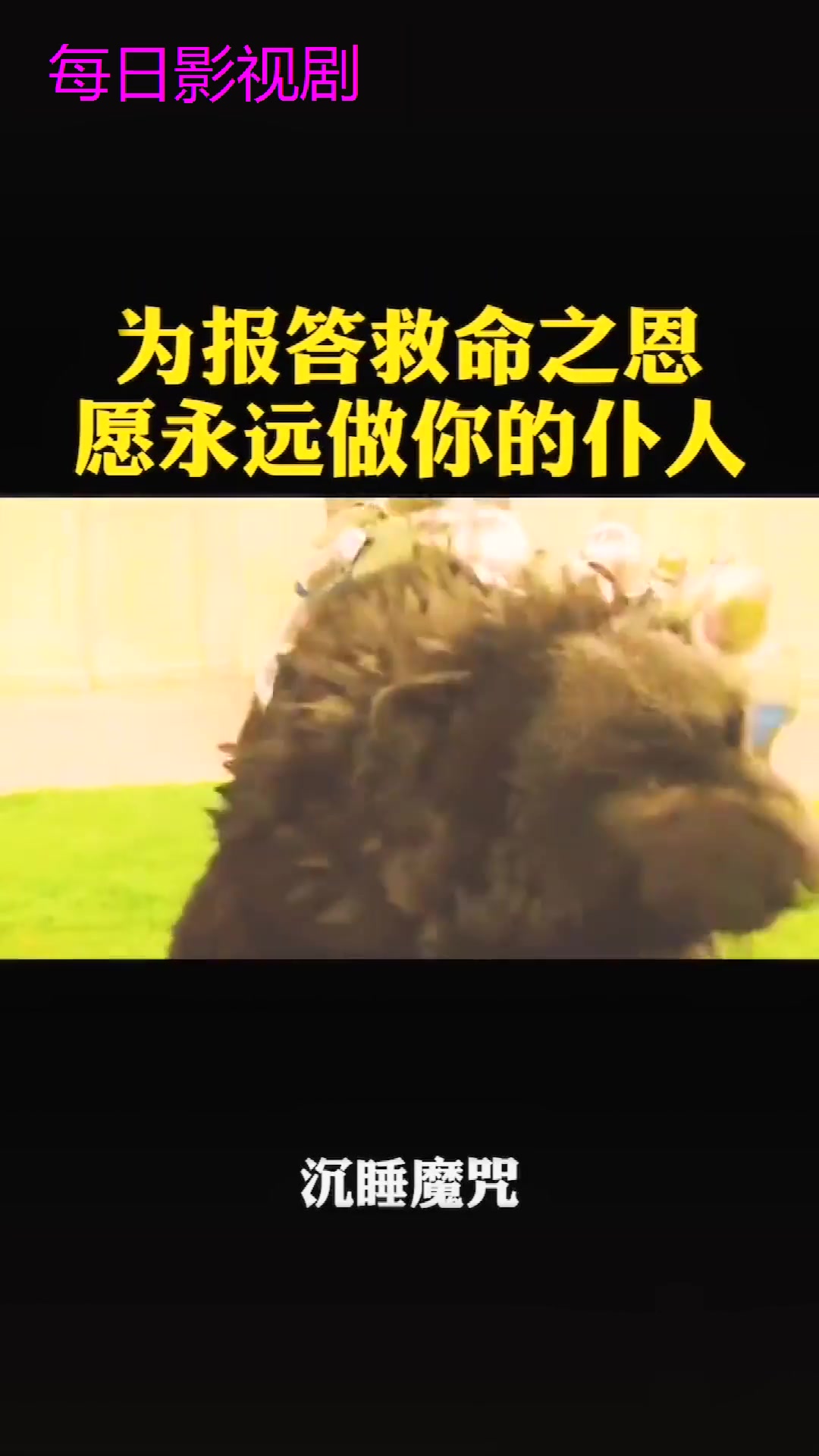 沉睡魔咒为报答救命之恩我愿永远做你的仆人