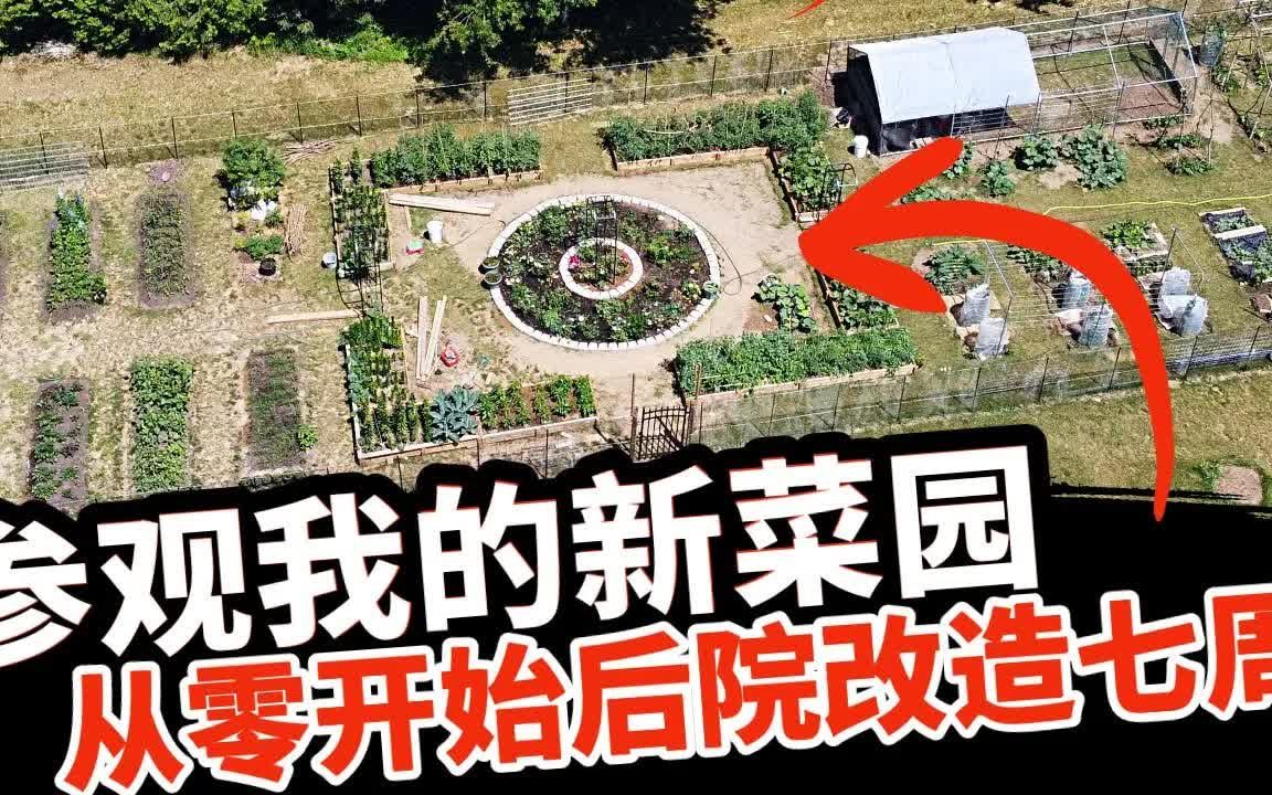 [图][最新] Garden Tour 参观我的新菜园！ 从零开始改造后院荒地，七周大变样！请订阅我的频道一起学种菜吧！