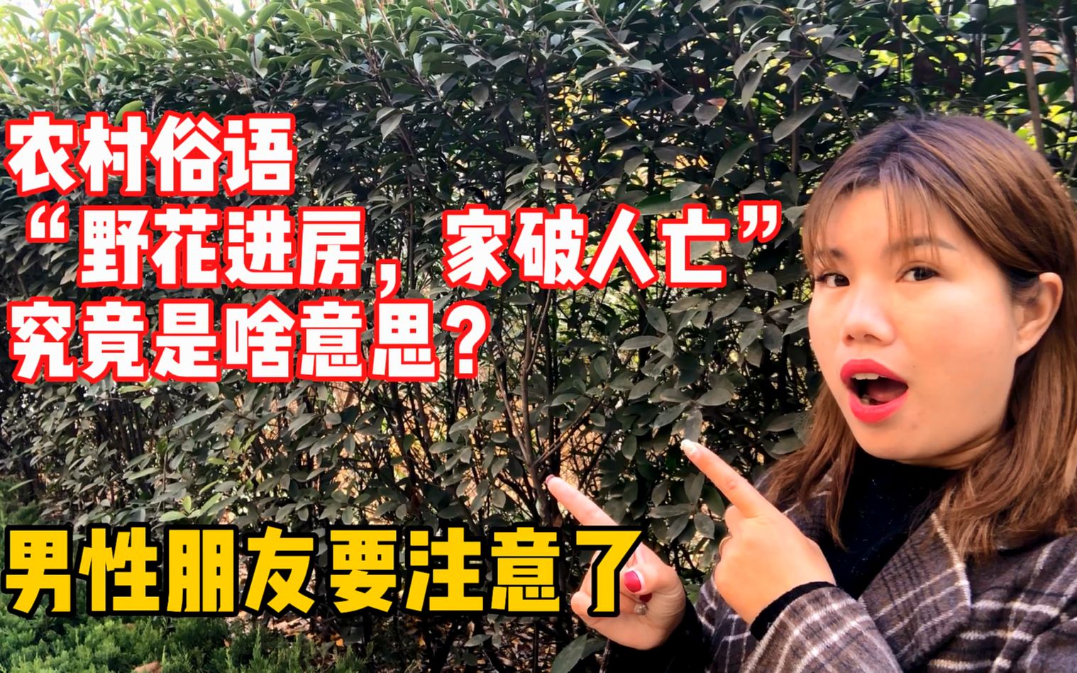农村俗语野花进房家破人亡啥意思古人的话现在还适用吗