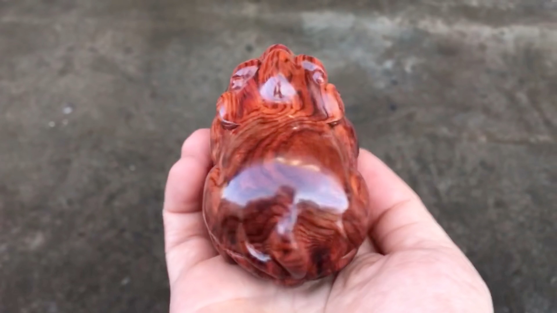 海黄老料·拱财兽8*5*4,70克#木雕工艺品 #手把件 #海南黄花梨