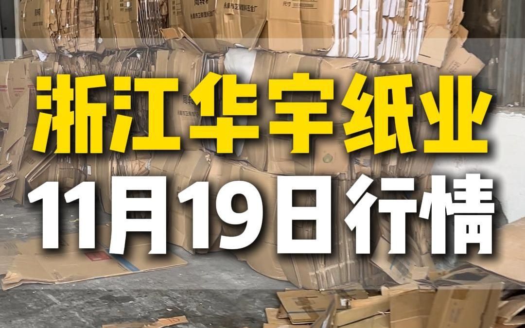 11月9日浙江绍兴华宇纸业今日行情参考哔哩哔哩bilibili