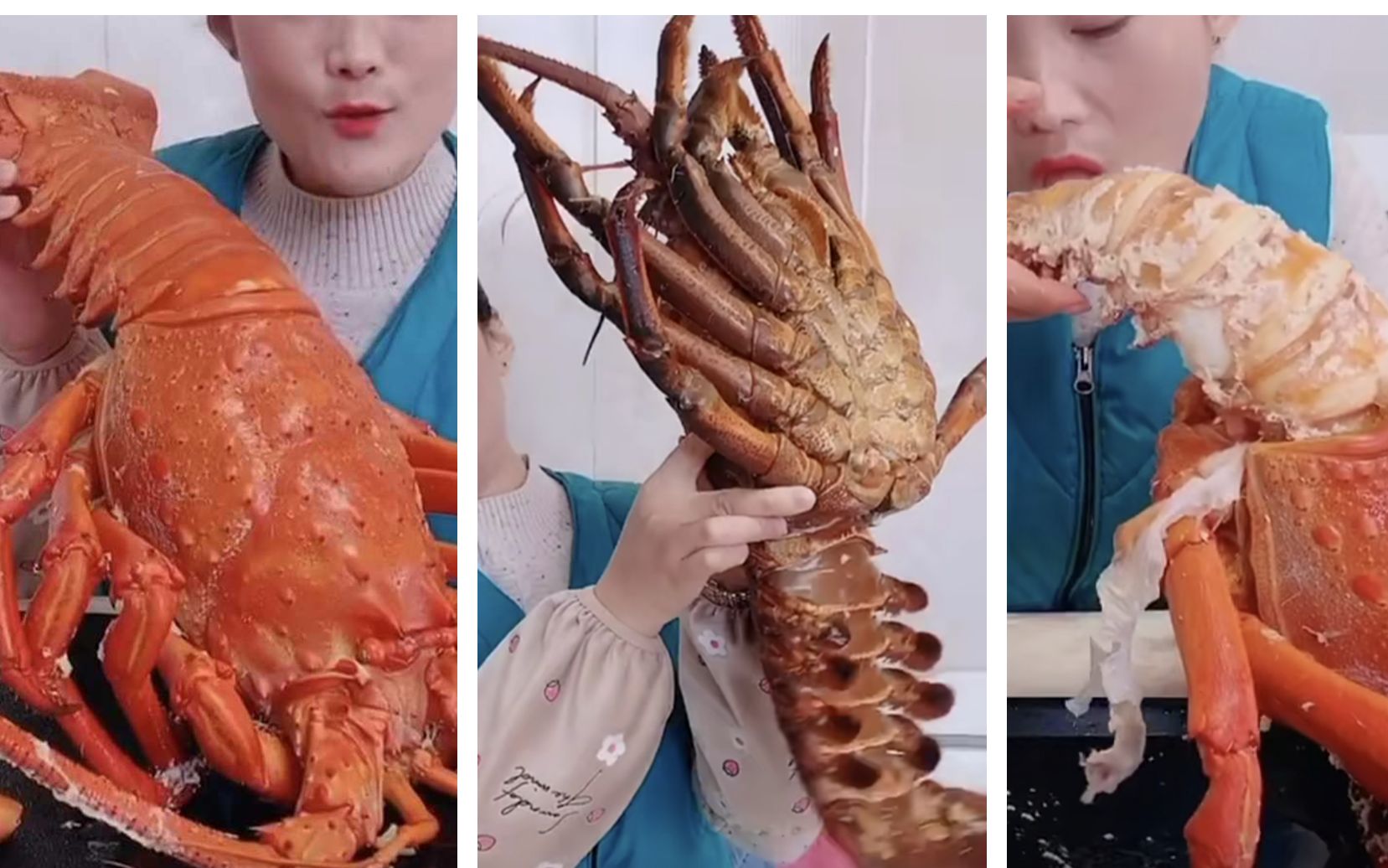 土味吃播-渔民姐姐狂啃巨型澳龙!过瘾!(这啥家庭啊)