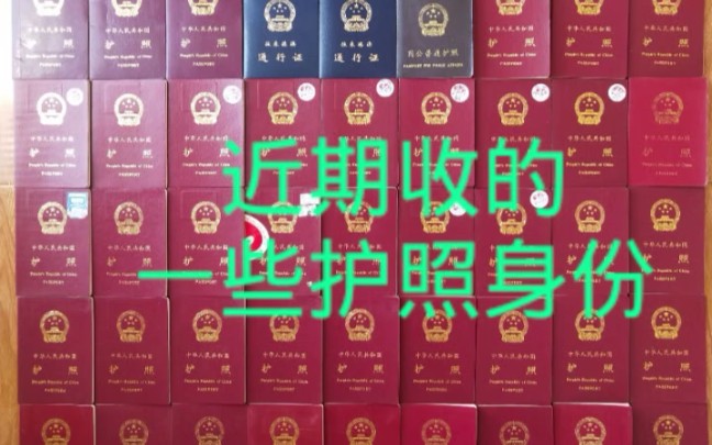 扒一扒老护照身份证件收藏,我们近期收的一些护照身份哔哩哔哩bilibili