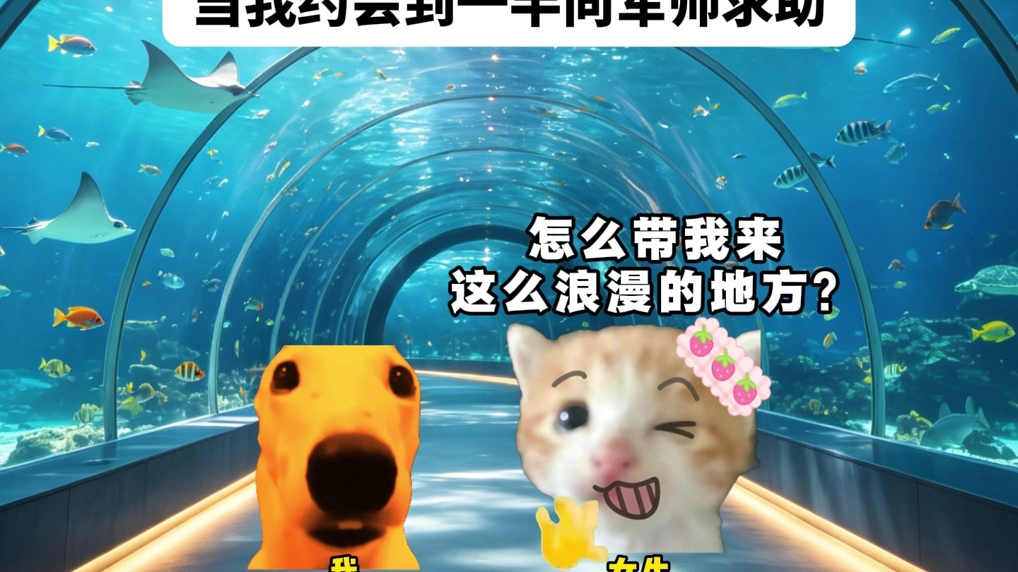 当我约会到一半向军师求助