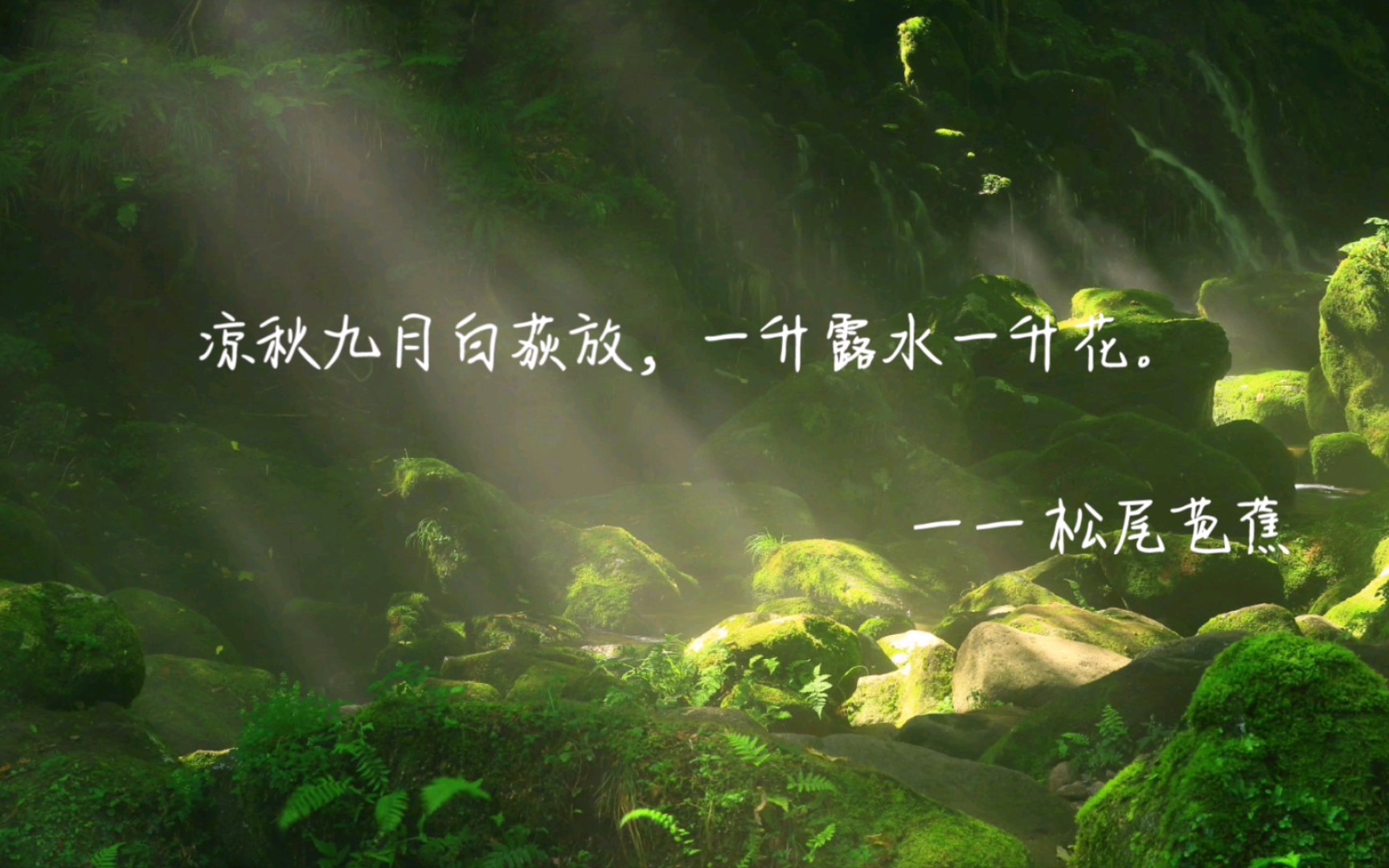 关于那些很唯美的日本俳句