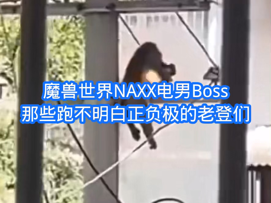 魔兽世界NAXX电男Boss那些跑不明白正负极的老登们网络游戏热门视频