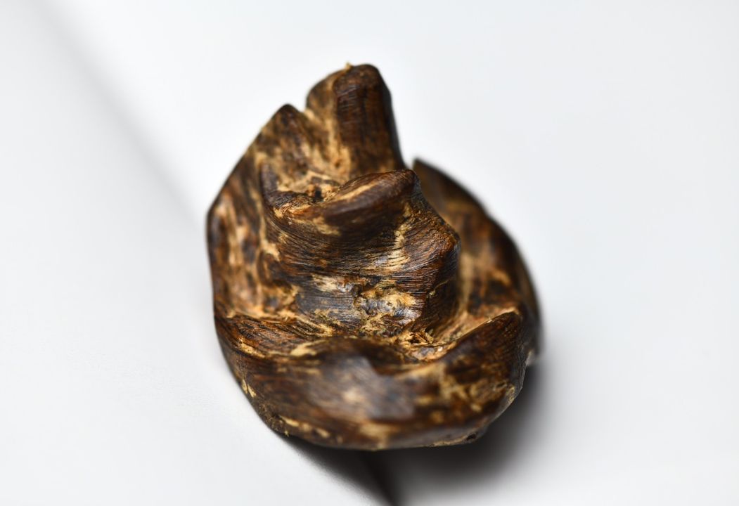 高端天然野生达拉干高级沉水沉香木料解压手把件挂件吊坠原料文玩