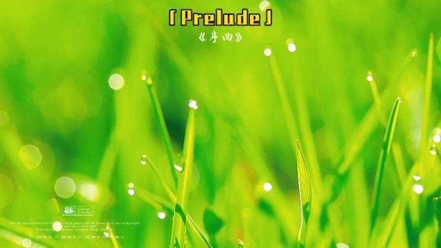 [图]Prelude「世界顶级轻音乐」