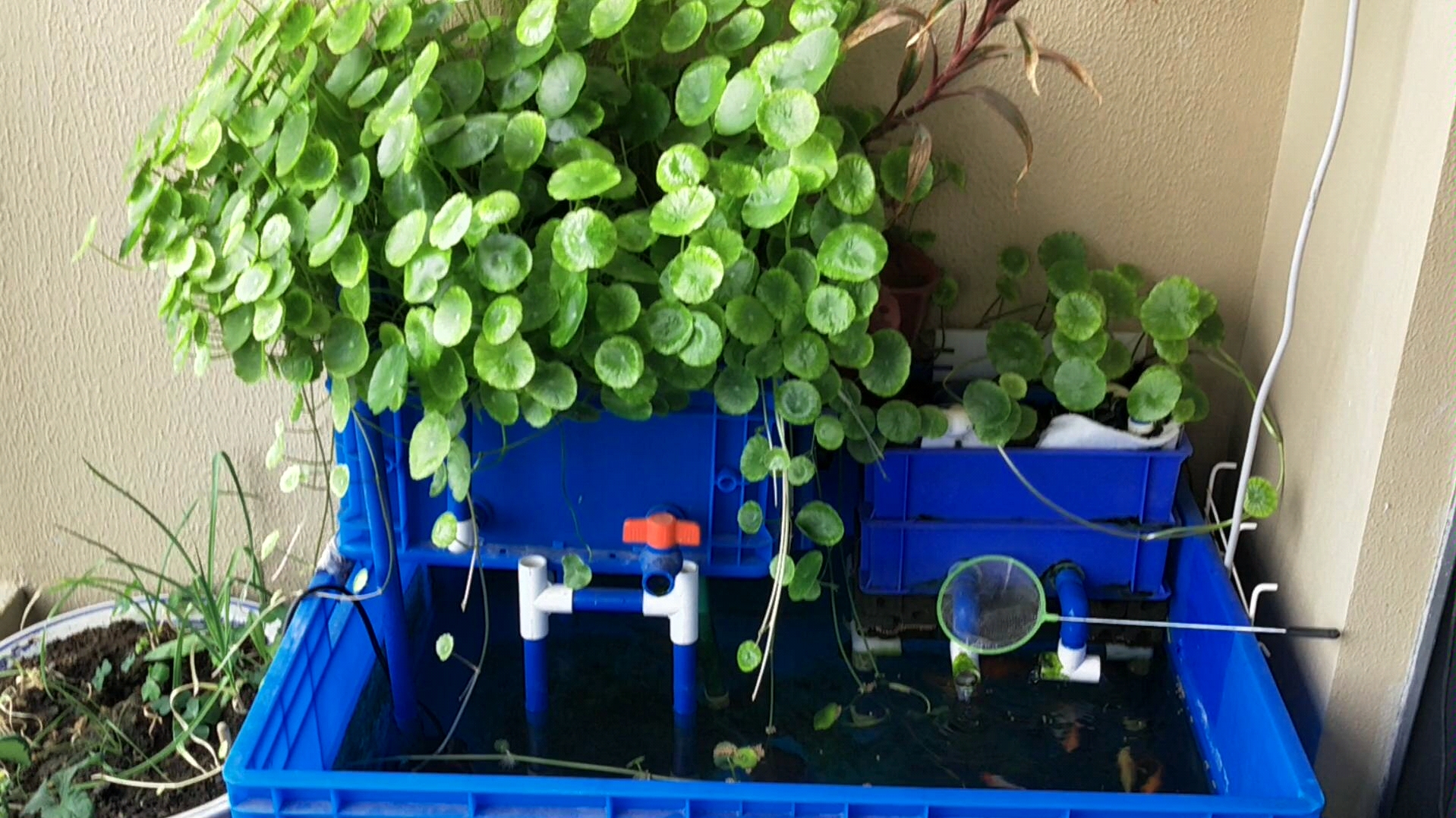 沼泽过滤的日常