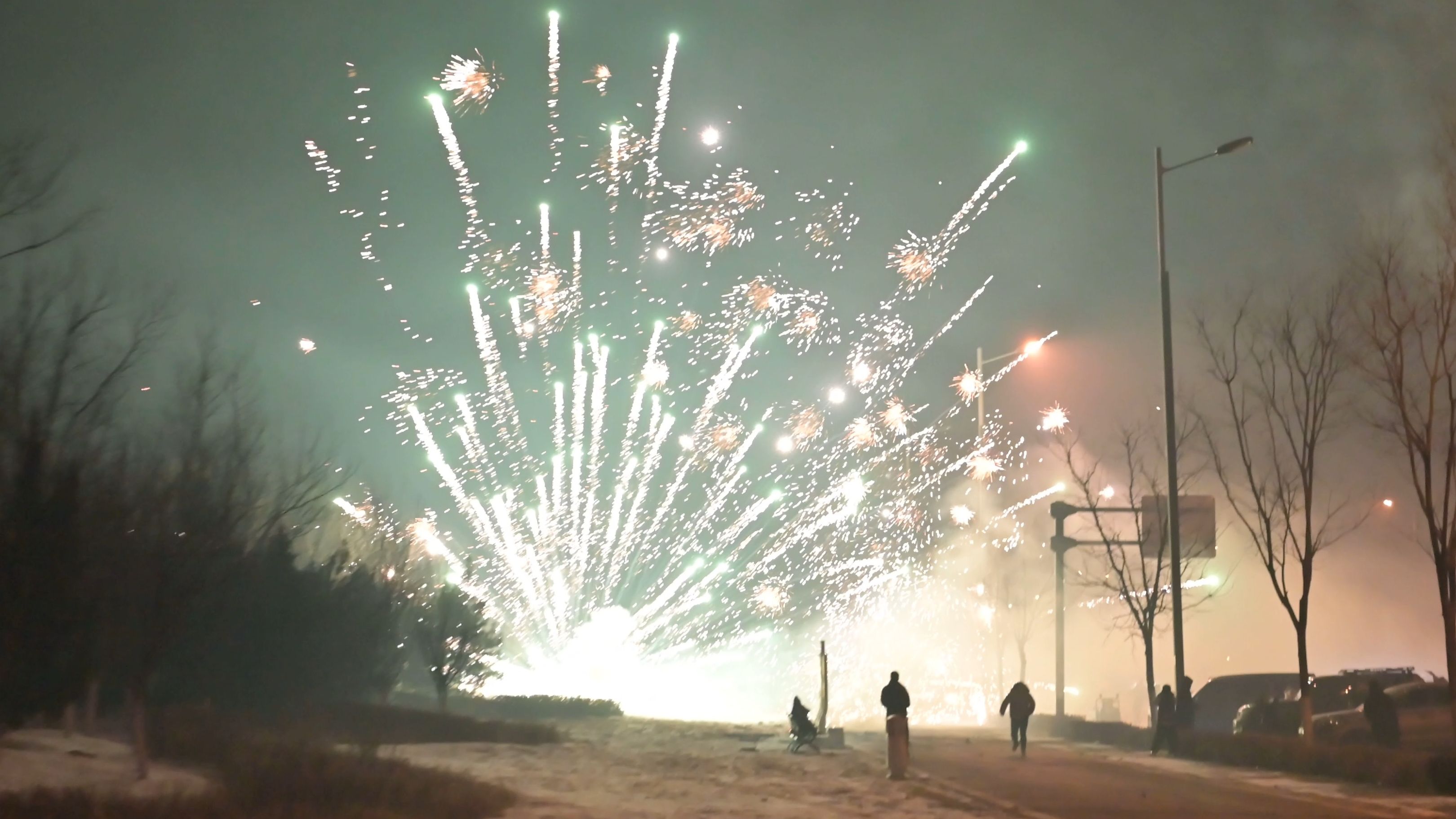 礼花弹自由!3寸36发 全是精华放心食用