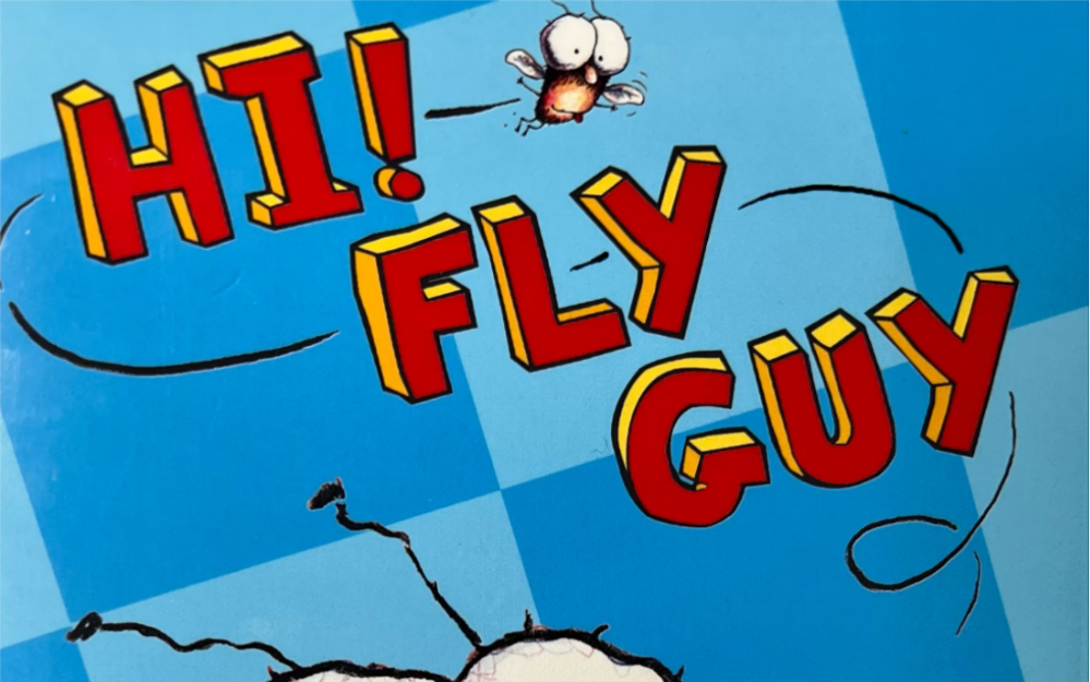 fly guy-1