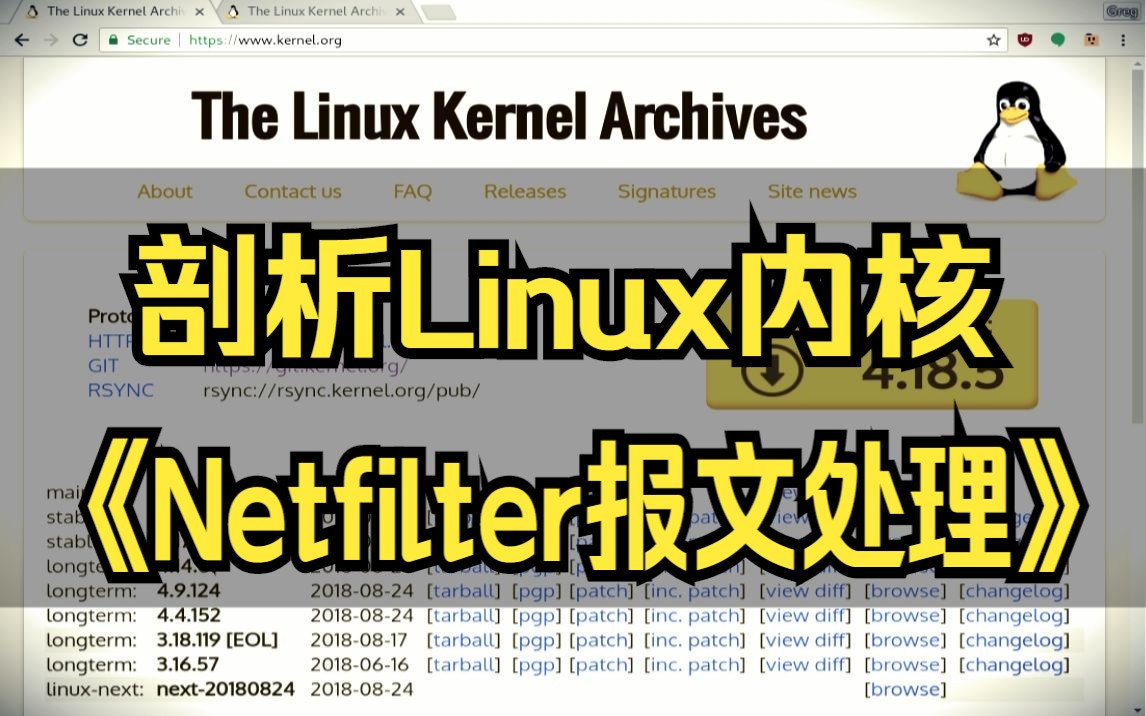 [图]【计算机操作系统】剖析 Linux内核《Netfilter报文处理》/内存调优/文件系统/进程管理/设备驱动/网络协议栈/中断管理/性能调优