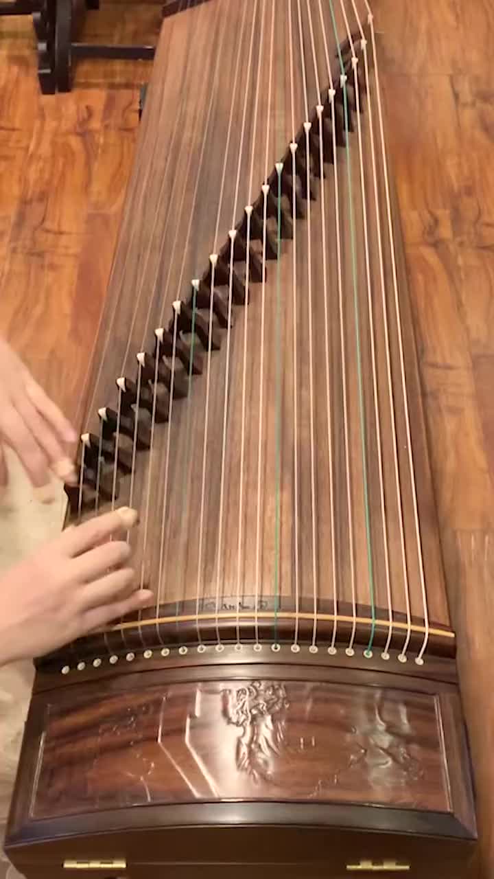 纯筝版多情种古筝古筝演奏