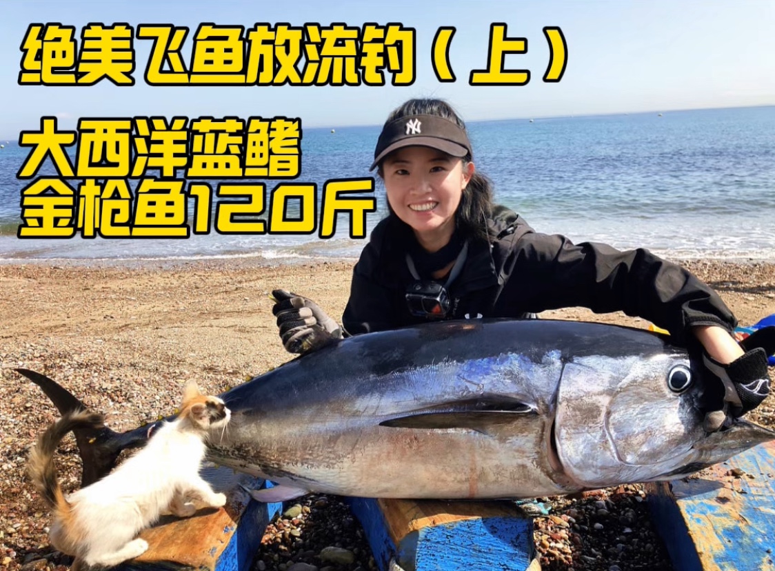 绝美飞鱼放流海钓 解锁顶级刺身大西洋蓝鳍金枪鱼120斤 上集哔哩哔哩bilibili