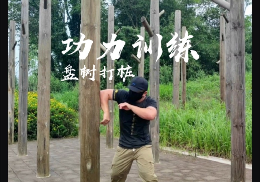 【古武】盘树打桩|功力训练