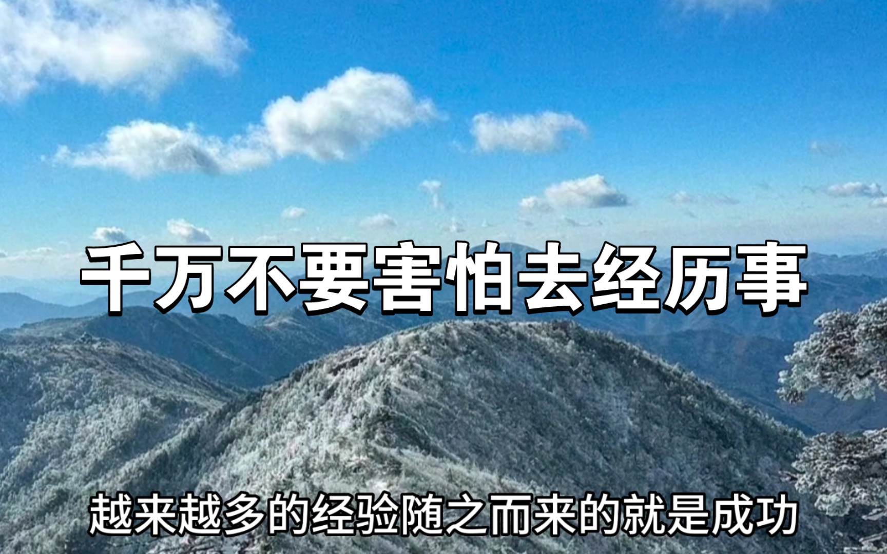 人生成功的定义是什么?「敏感是个有力量的本事,但是也要有释怀的能力」哔哩哔哩bilibili