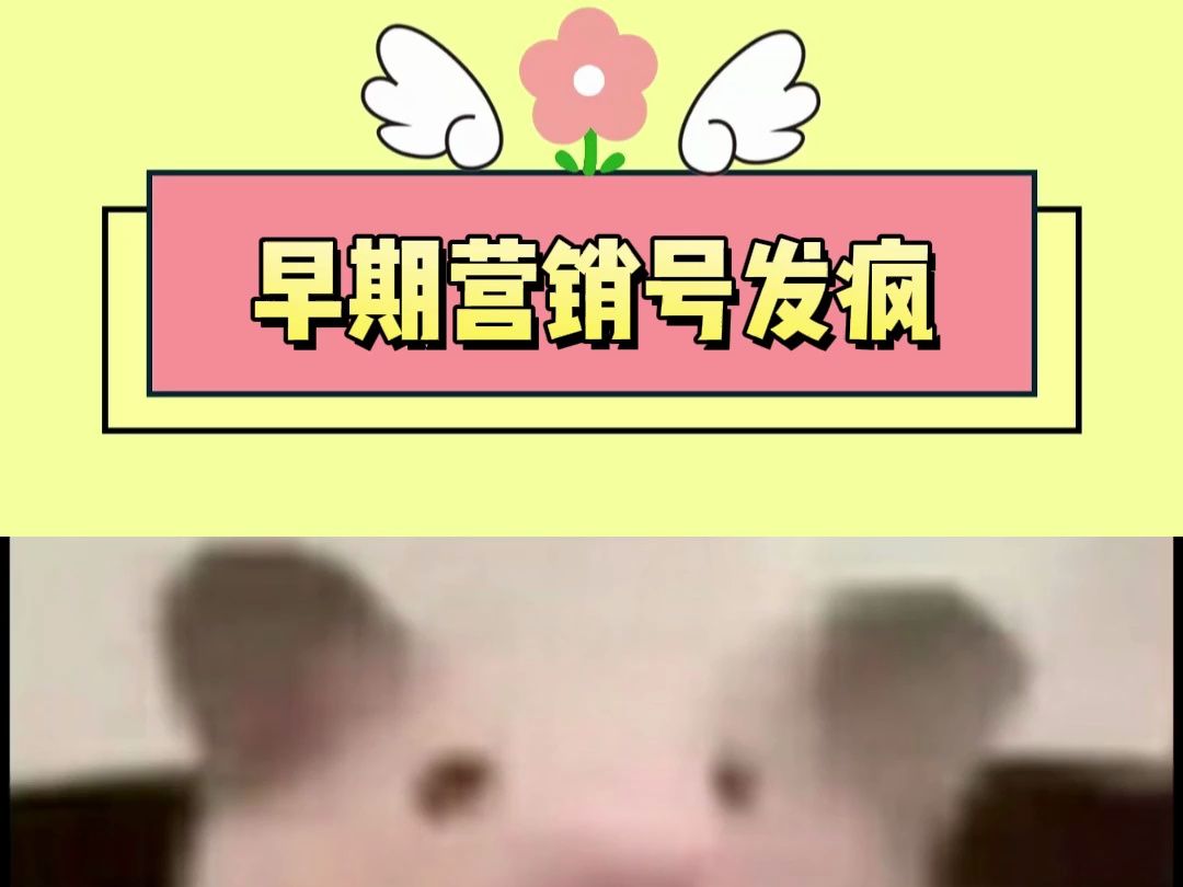 早期营销号发疯哔哩哔哩bilibili