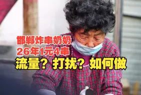 Descargar video: 邯郸炸串奶奶火了以后我的一点思考