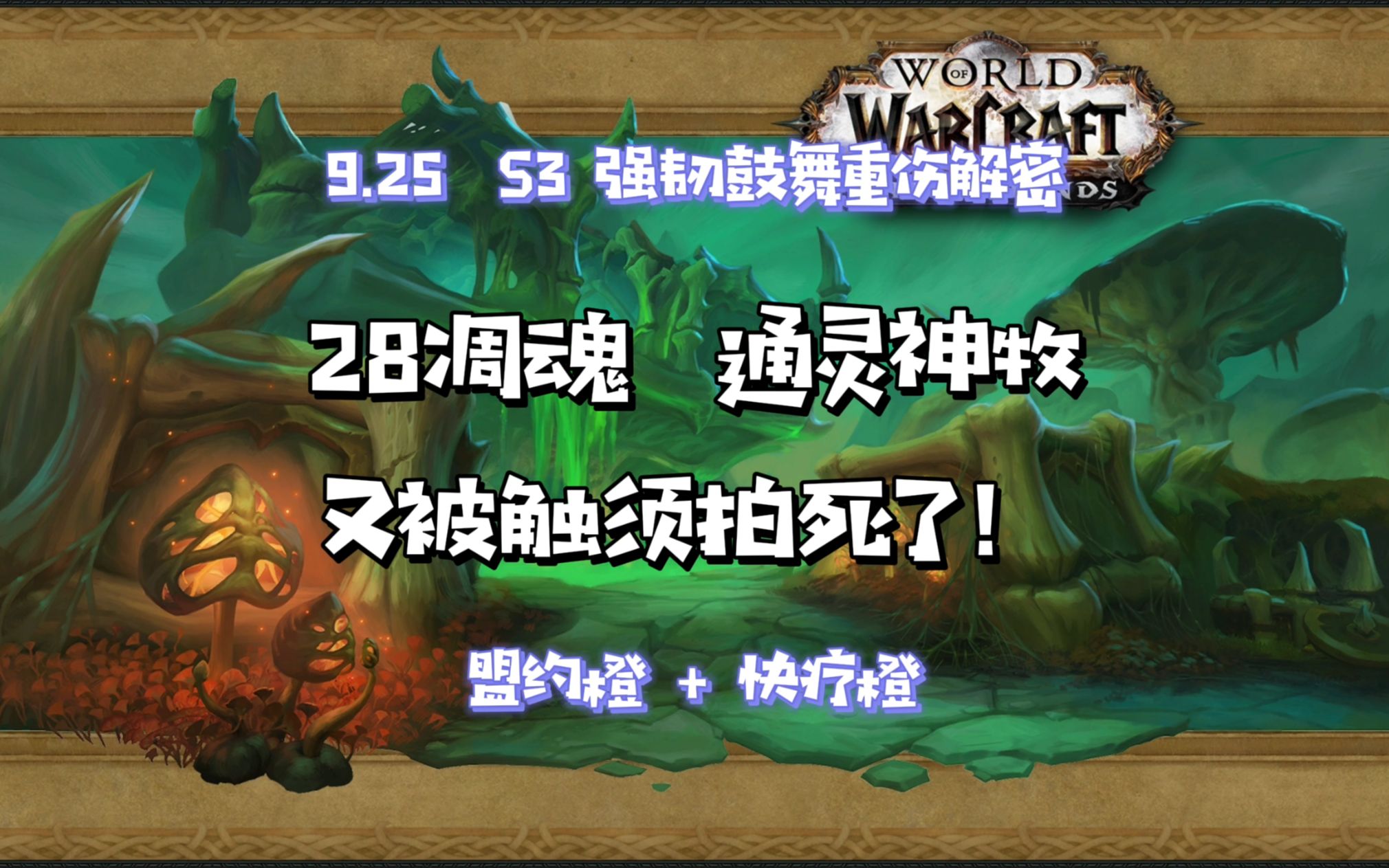 【魔兽世界9.25大秘境】28凋魂之殇快疗橙四件套通灵神牧 强韧鼓舞重伤解密魔兽世界