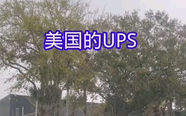 只好去美国的UPS自取小鞋哔哩哔哩bilibili