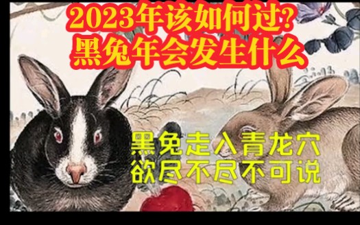 [图]60年一遇的“黑兔年”，会发生什么？2023年究竟有多“不一般”？