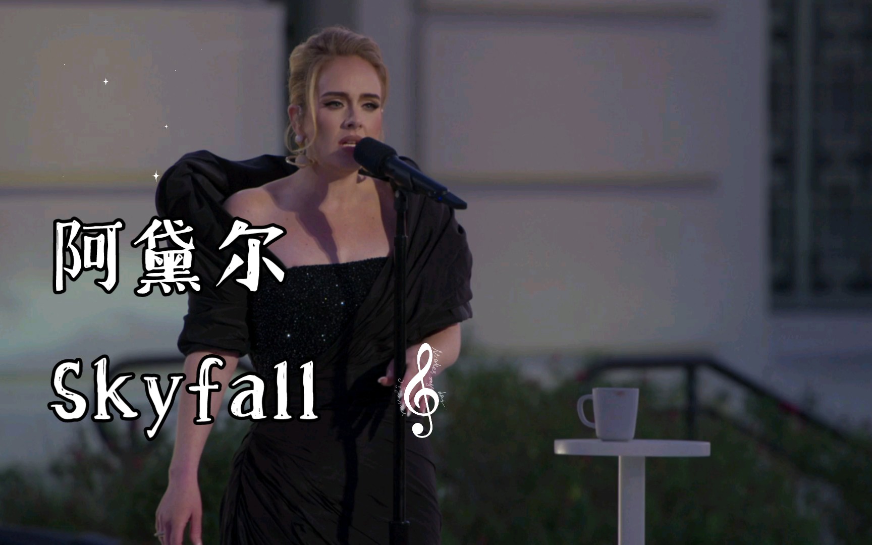 [图]阿黛尔此夜唯一演唱会  歌曲《Skyfall》