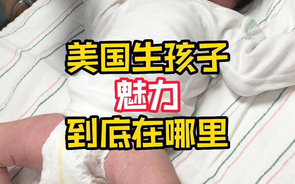 到美国生孩子的魅力到底在哪里?哔哩哔哩bilibili