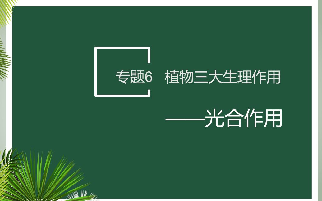 中考生物一轮复习6光合作用哔哩哔哩bilibili