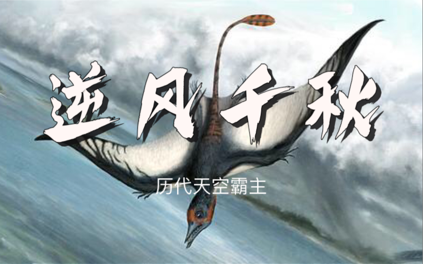 逆风千秋历代天空霸主原曲逆浪千秋视频版