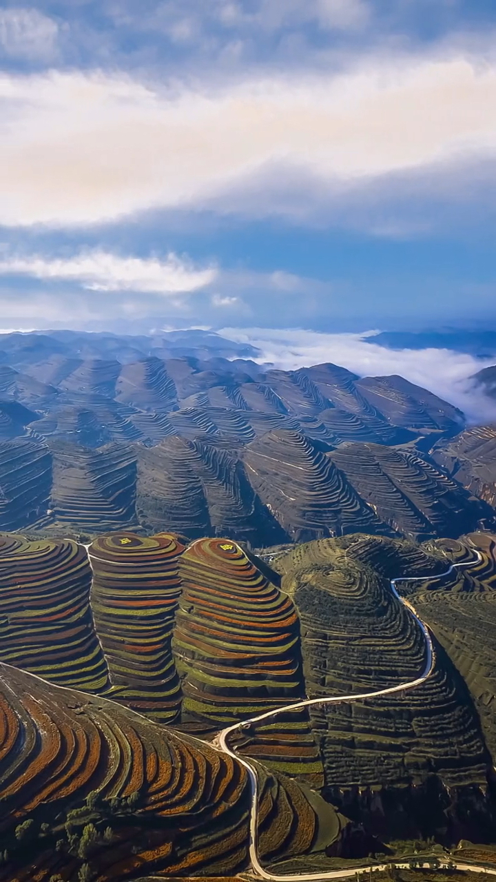 宁夏金鸡坪梯田,被誉为黄土高原美丽的指纹