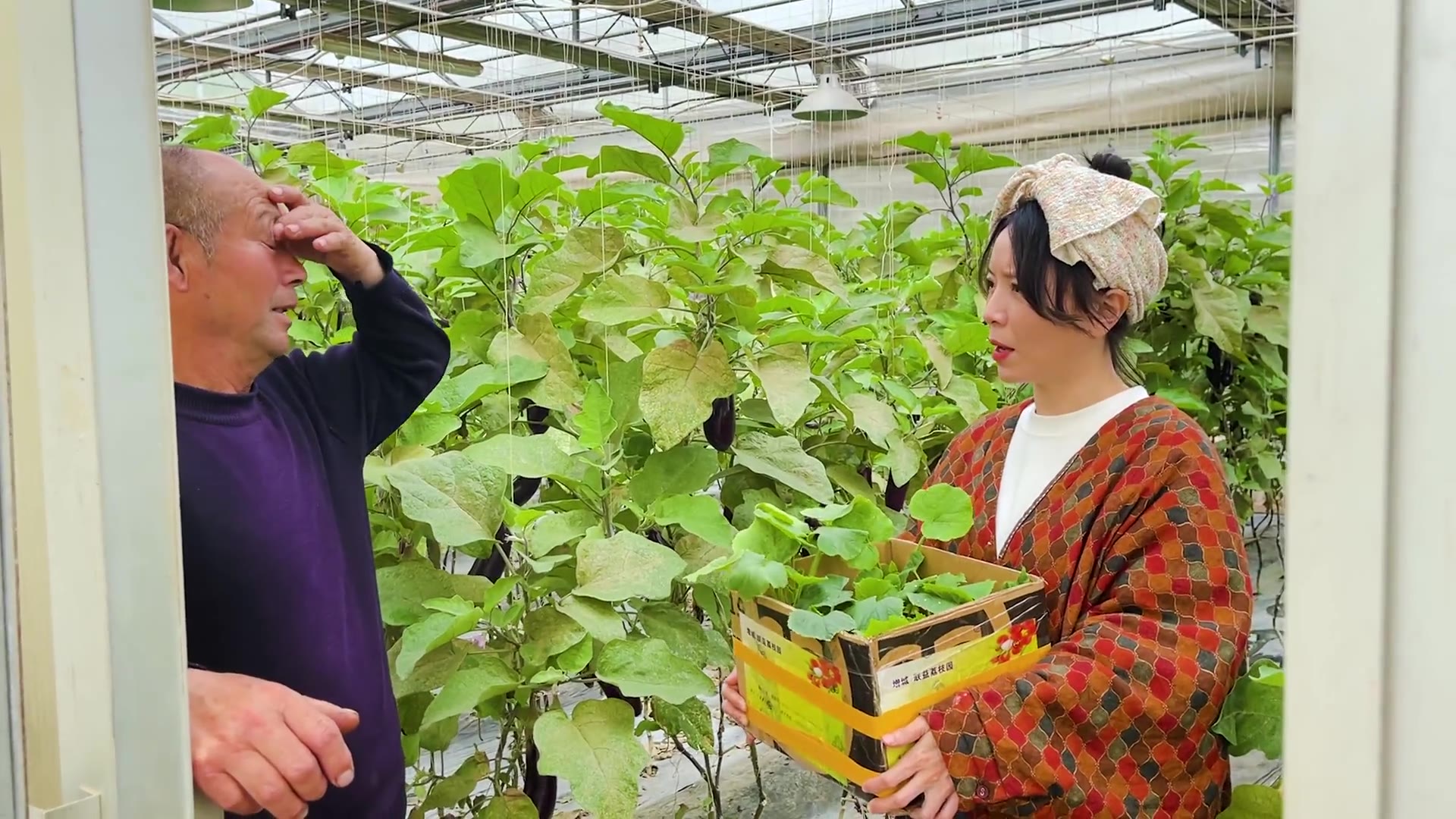 山田心农家乐yue先导片舞台搭建施工中星引力计划