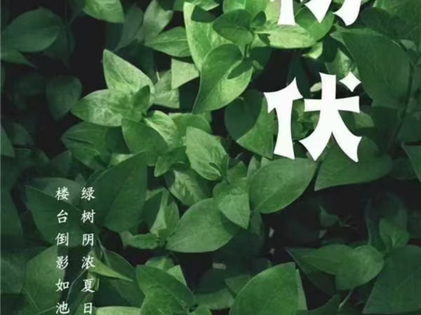 冬练三九,夏练三伏