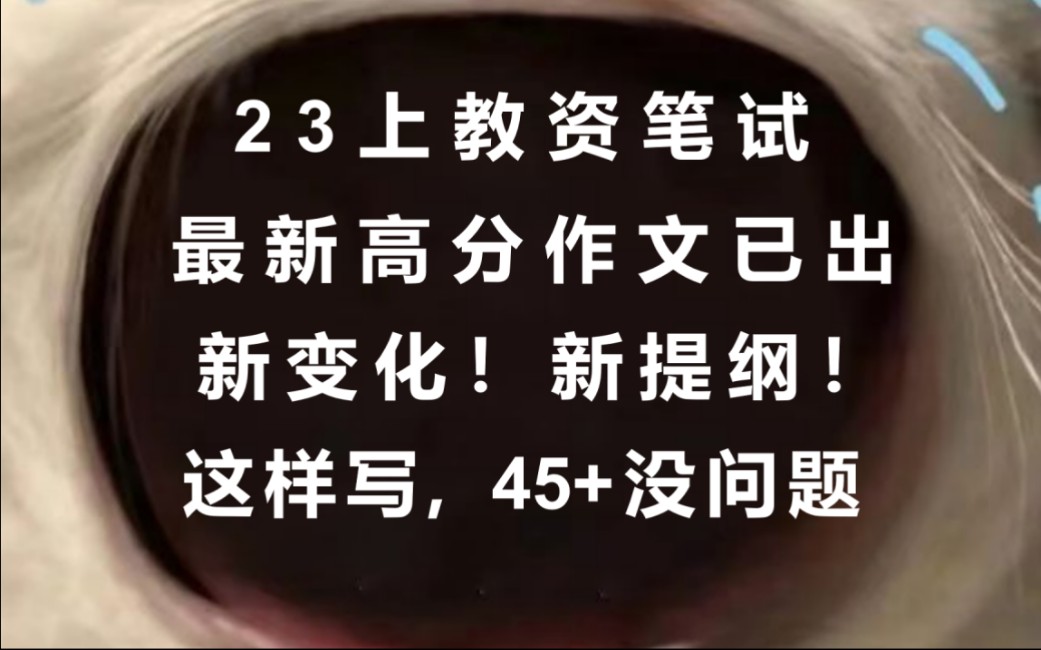 【23教资笔试报名新变化】最新高分作文已出|这样写45+没问题❗❗哔哩哔哩bilibili