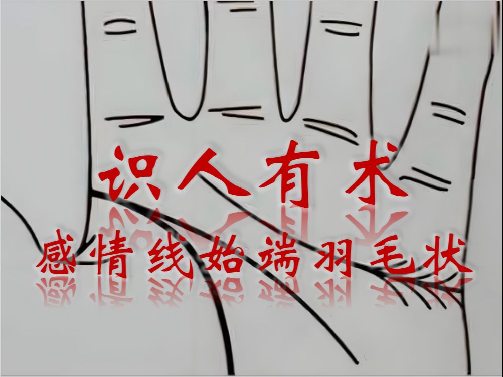 识人有术 感情线始端羽毛状