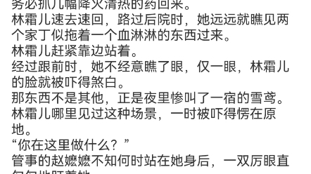 《娇软奴婢,又被强势王爷溺宠了》林霜儿夜北承小说包结局分享阳春三月,乍暖还寒.一声凄厉的惨叫划破夜空,打破了永安侯府的平静.哔哩哔哩bilibili