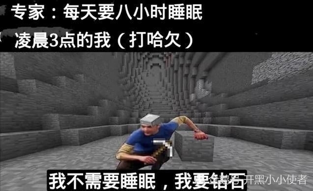 [图]Minecraft刻板印象meme