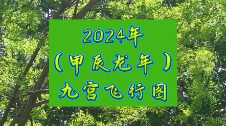 2024年九宫飞星图