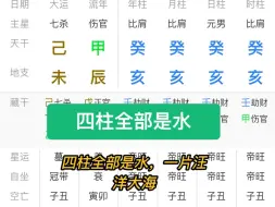 四柱全部是水的特殊八字