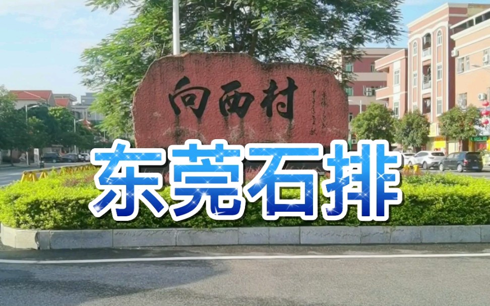 东莞市石排镇向西公园美景!哔哩哔哩bilibili