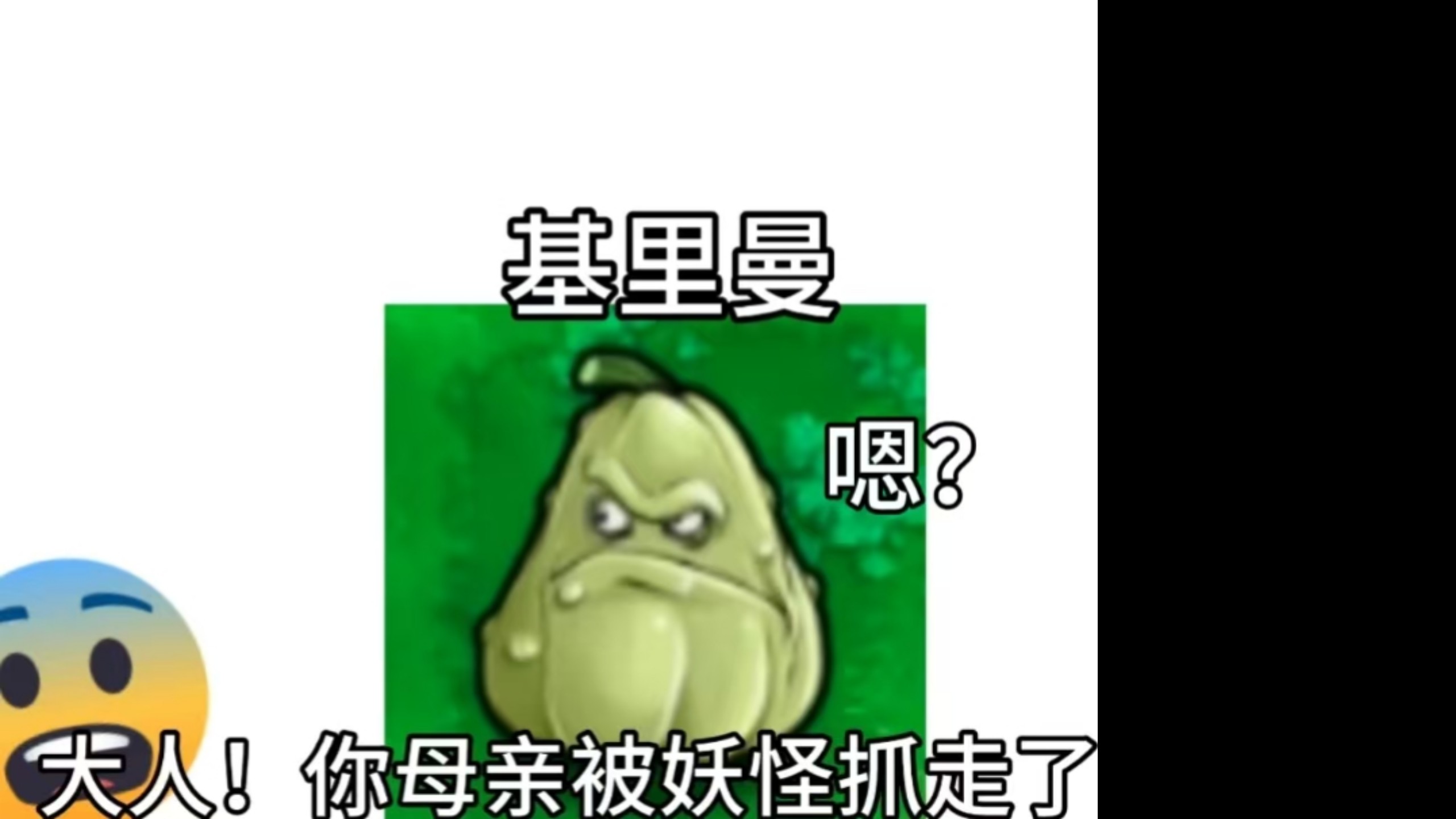 基里曼：你说我妈被谁抓走了？