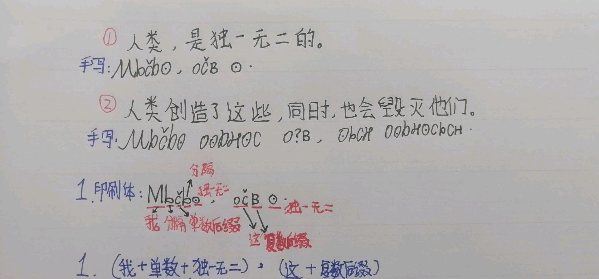 【人造语言语法&句子】只有5个字母的人造语言,句子&语法练习哔哩哔哩bilibili