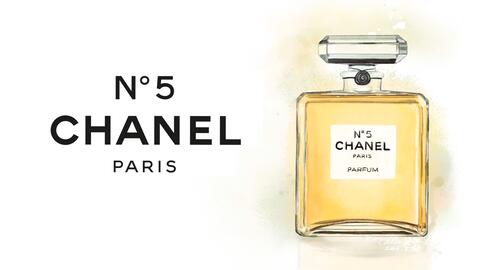 Procreate】香奈儿5号香水-Chanel N°5-哔哩哔哩