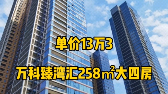 万科臻湾汇258㎡大四房 深湾汇云中心海景大平层 深圳湾房产哔哩哔哩bilibili