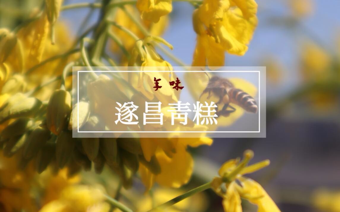 年味•遂昌青糕【吴语遂昌话】哔哩哔哩bilibili