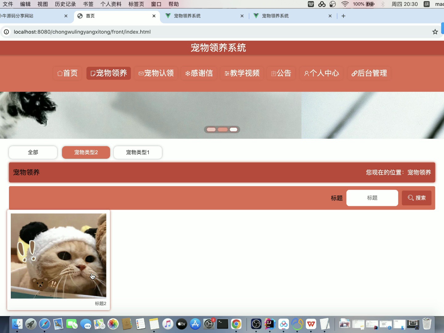 毕业设计基于springboot的宠物领养与认领系统哔哩哔哩bilibili