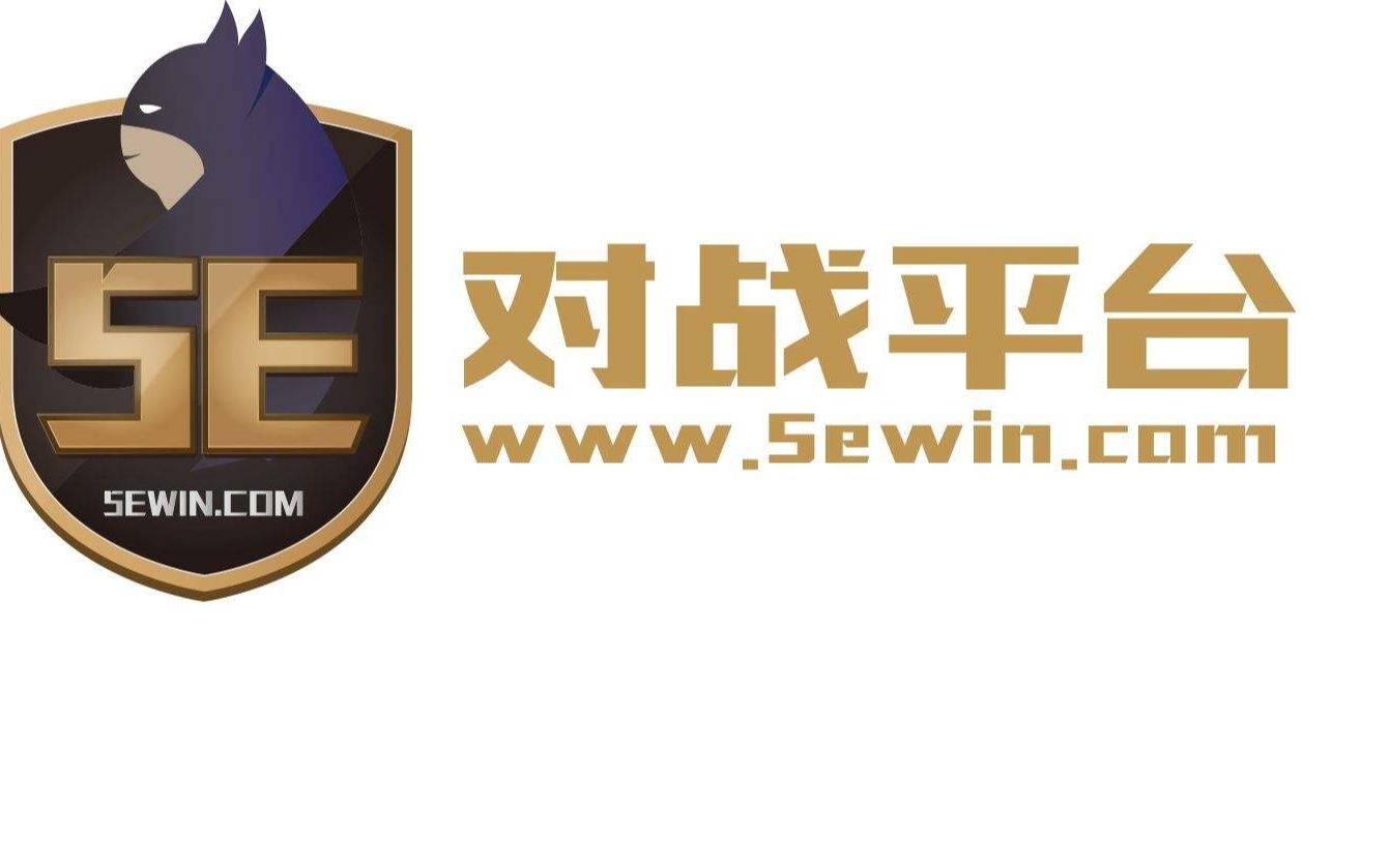 5e对战平台大叔普通匹配高光时刻2222