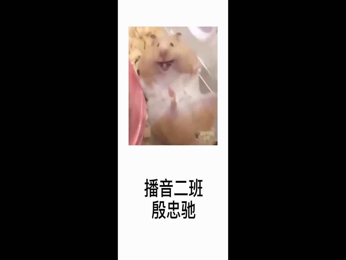 播音学生的期末作业哈哈哈哈哈哈哈哈哈哈哈哈哈哈哈哈哈哔哩哔哩bilibili