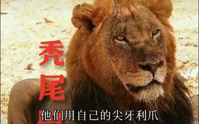 坏男孩联盟老六撒旦1v4南联盟视频