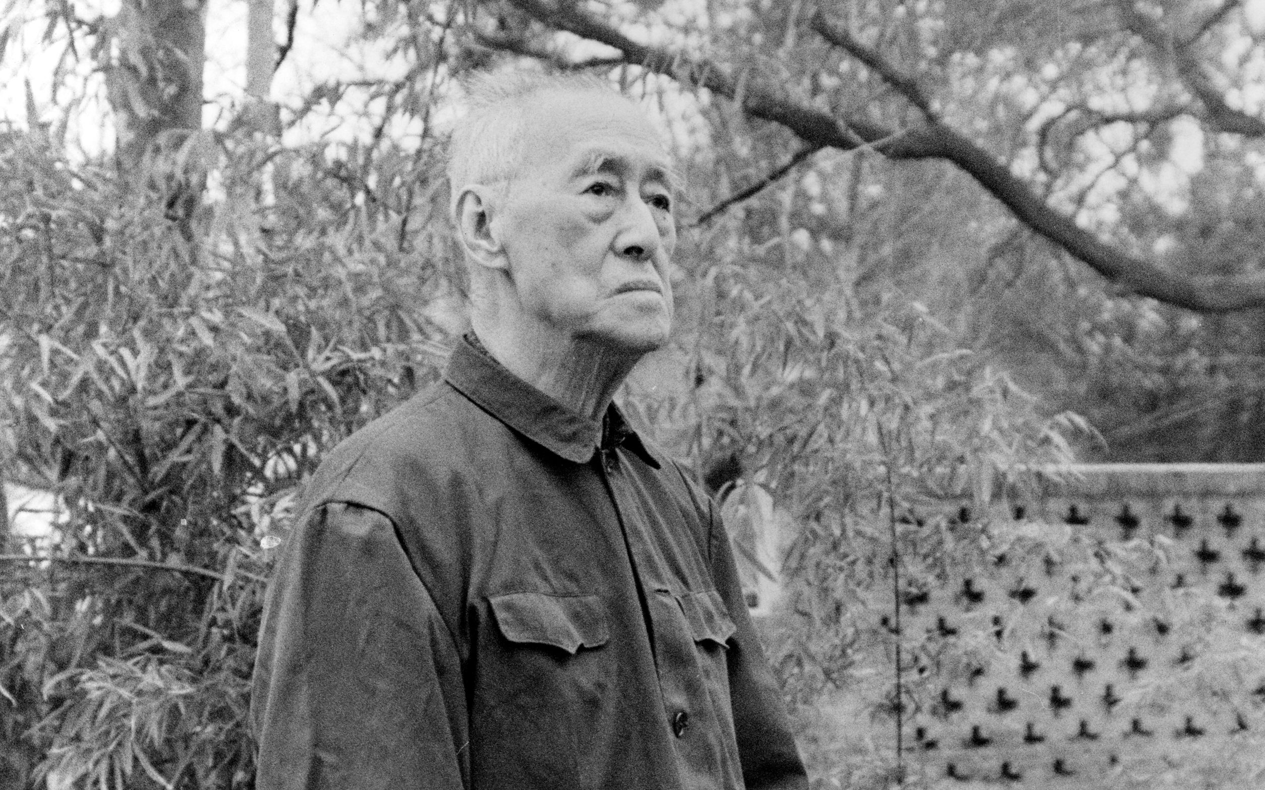 陈岱孙教授生平纪录片