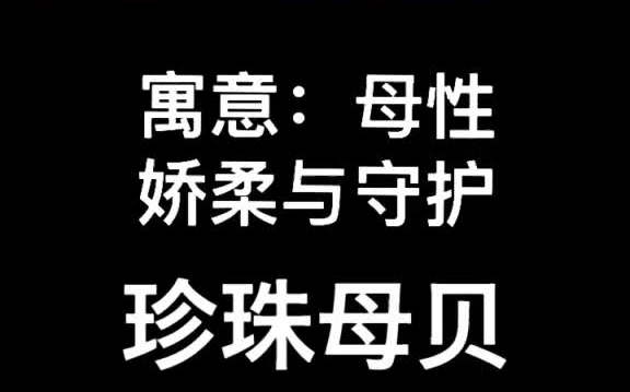 珠宝课堂:珍珠母贝是什么?为何成为新宠?哔哩哔哩bilibili